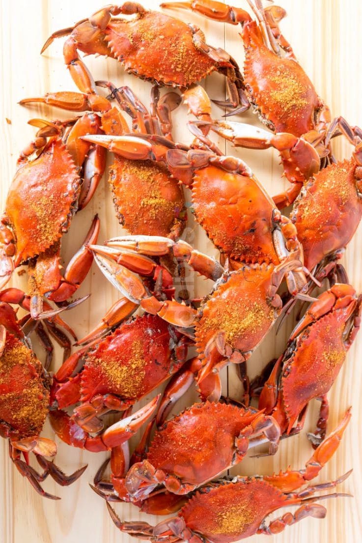 Obrycki’s Maryland Steamed Crab Kit by Harbour House Crabs