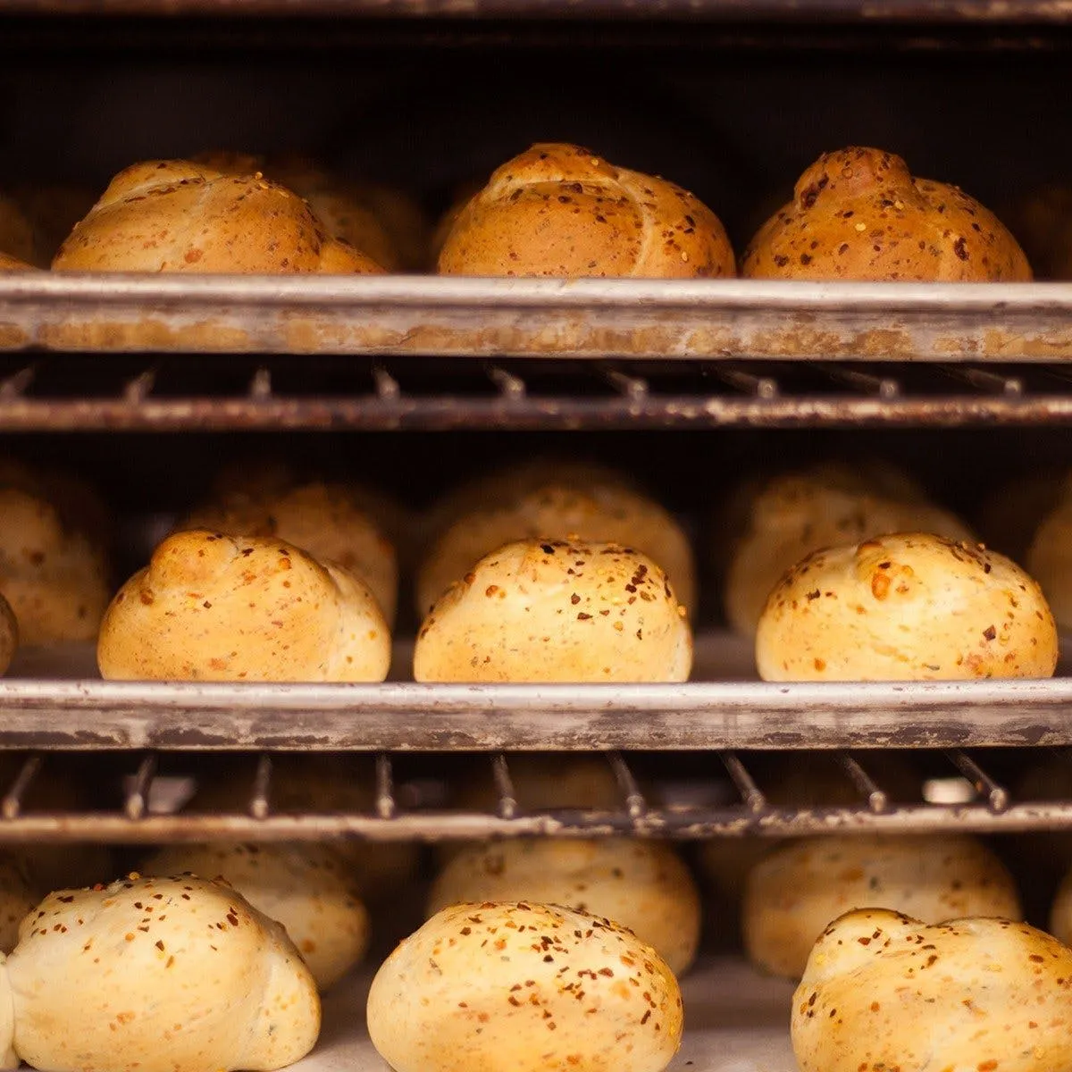 Stella's of Madison - "The Original Hot & Spicy Cheese Bread"™ Rolls - 24 Pack