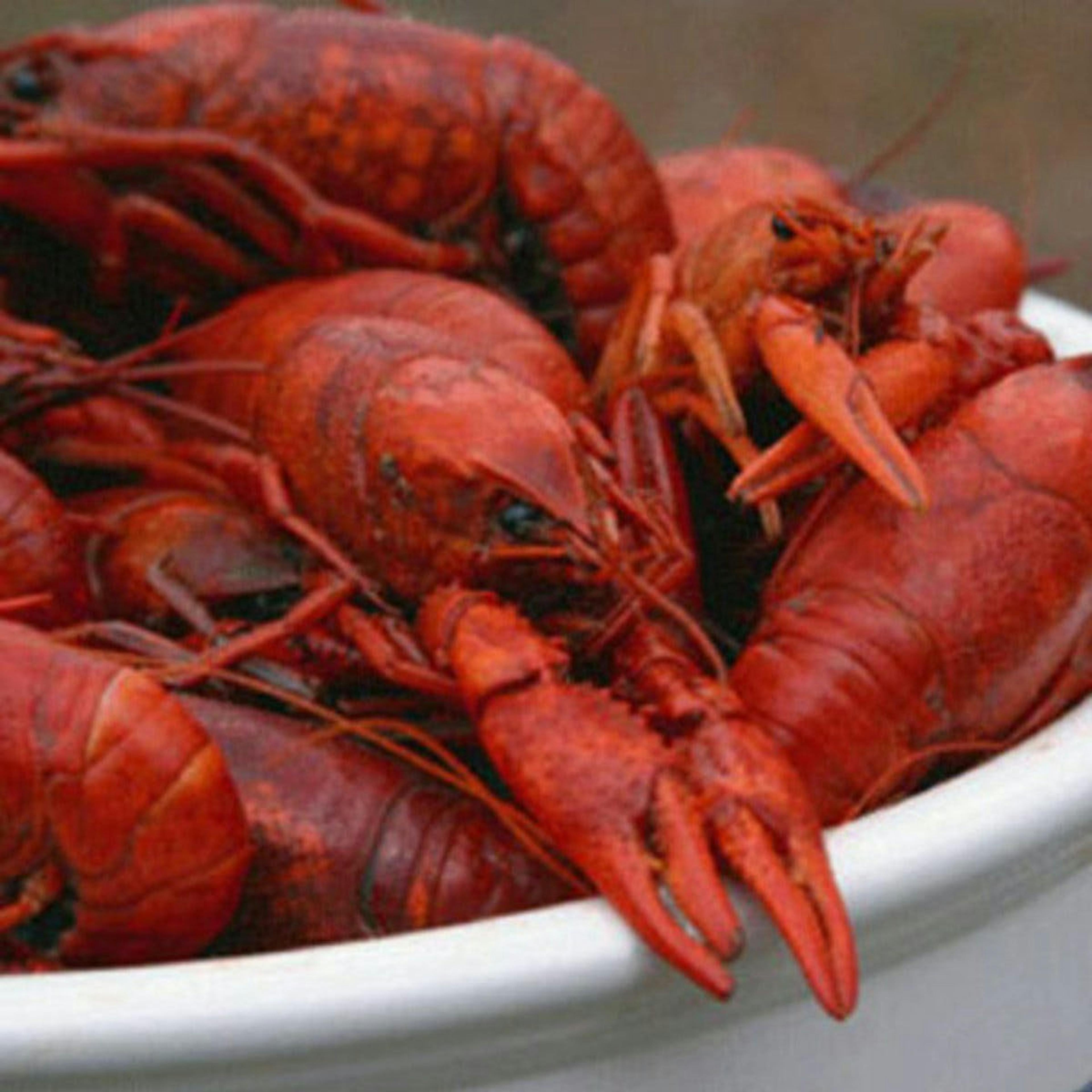 15 lb. Boiled Cajun Crawfish Pack by Louisiana Crawfish - Alternate image 4