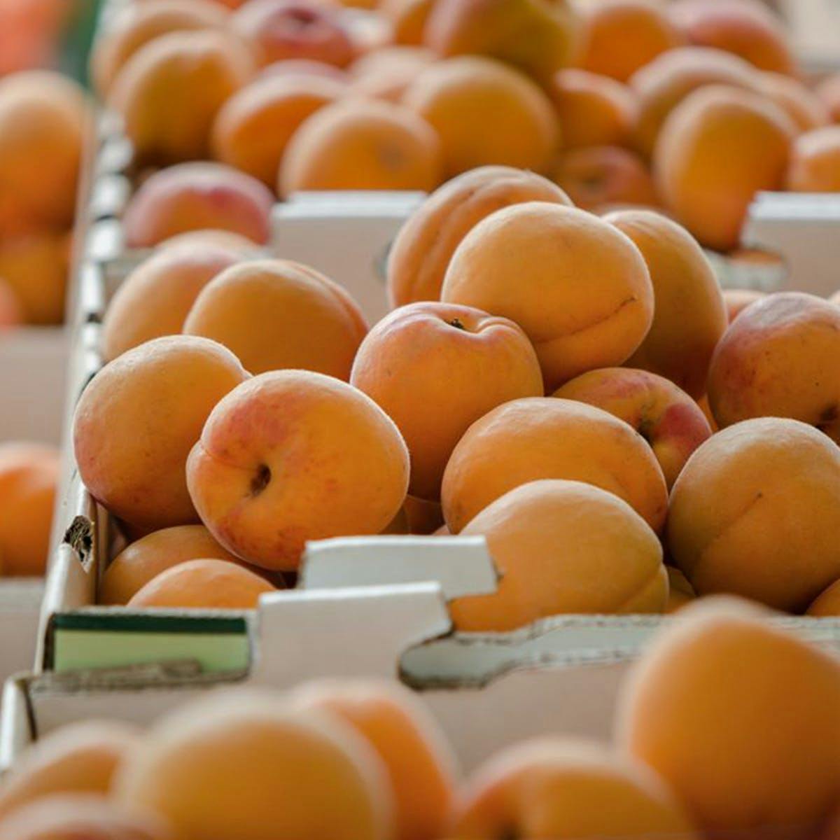 Organic Apricots by Frog Hollow Farm - Alternate image 1