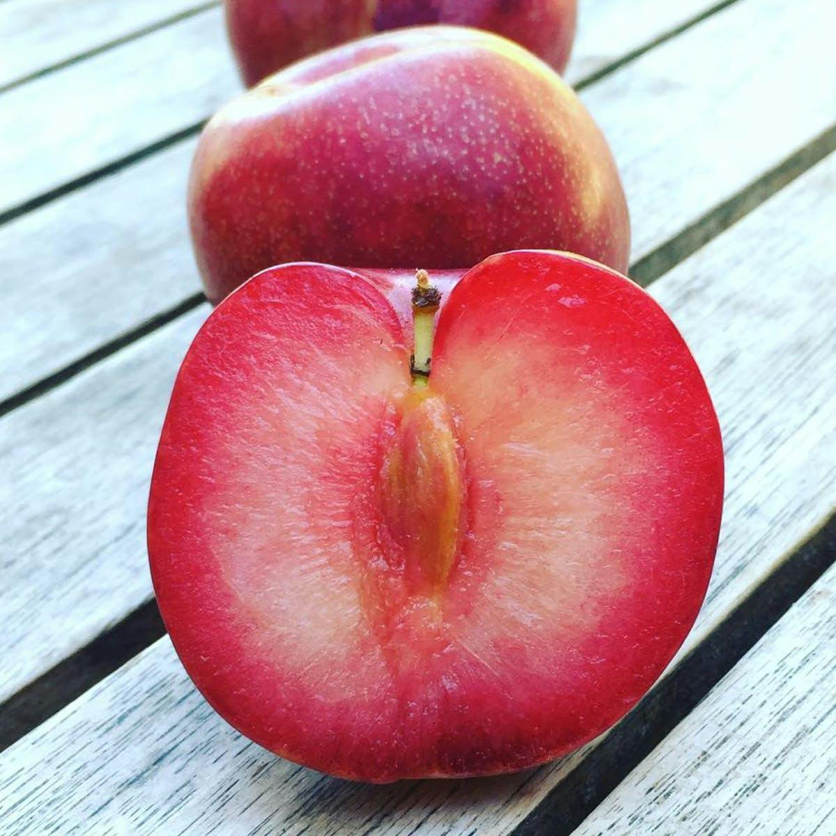 Organic Pluots by Frog Hollow Farm - Alternate image 1