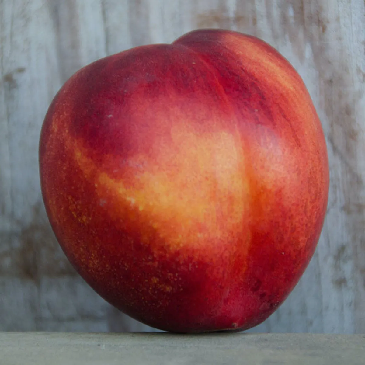 Organic Yellow Nectarines by Frog Hollow Farm - Alternate image 2