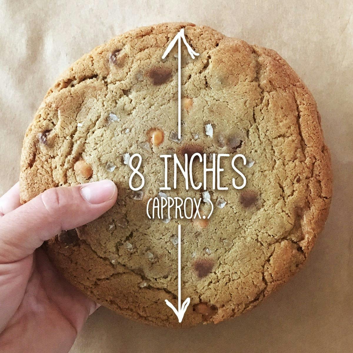 GIANT Signature Cookies - 10 Pack by T-Rex Cookie Company - Alternate image 6