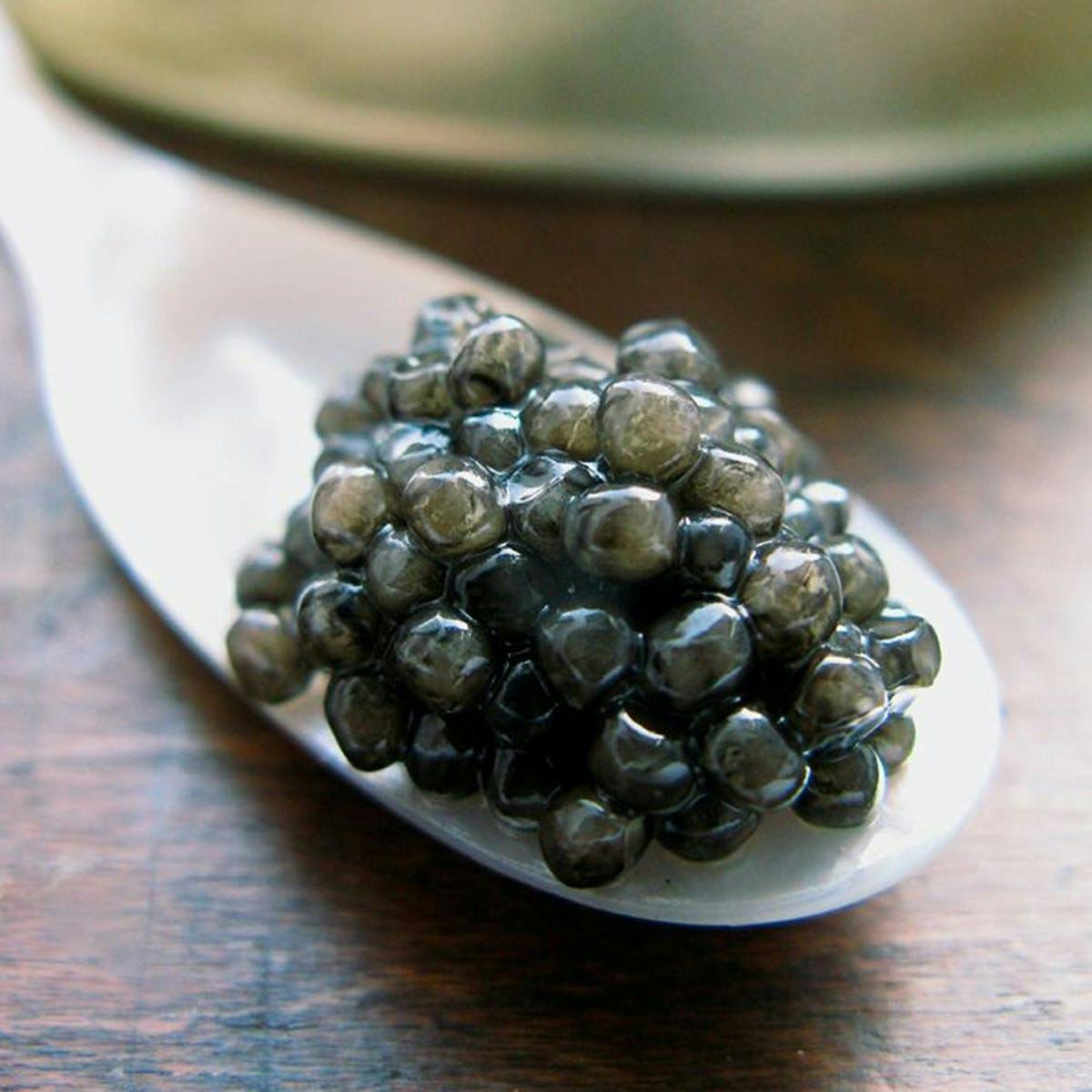 Siberian Baerii by Russ & Daughters