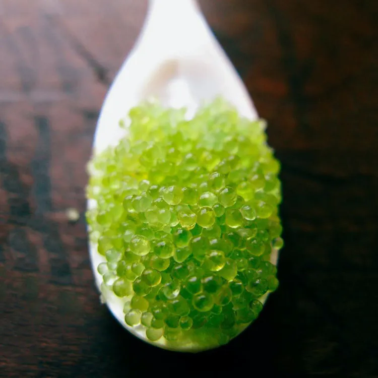 Wampfish Roes Wasabi Infused Flying Fish Roe by Russ & Daughters | Goldbelly