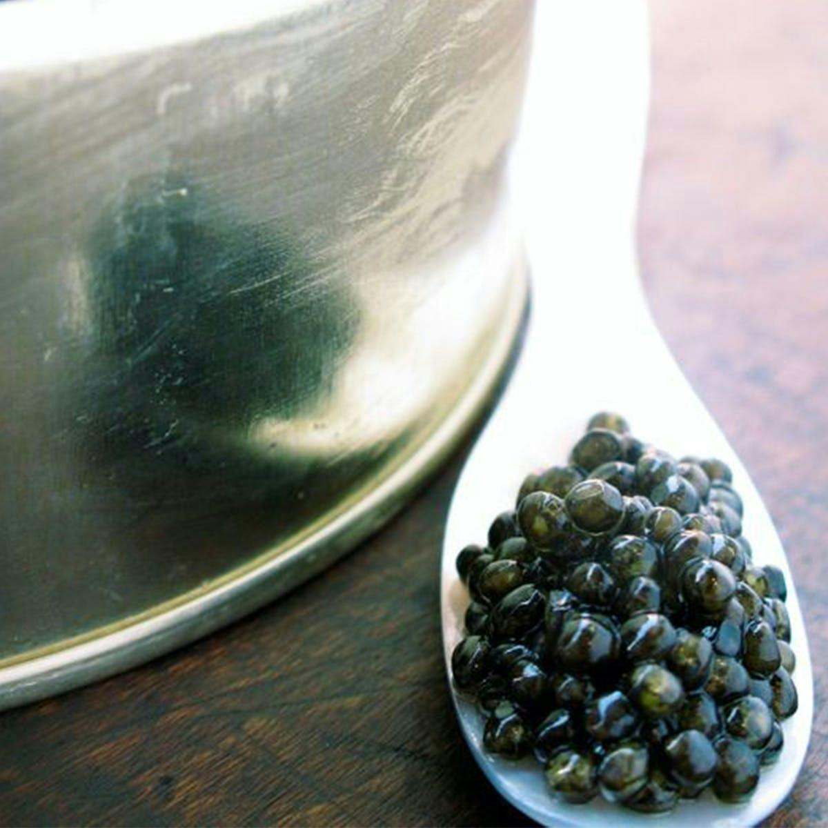 American Transmontanus by Russ & Daughters