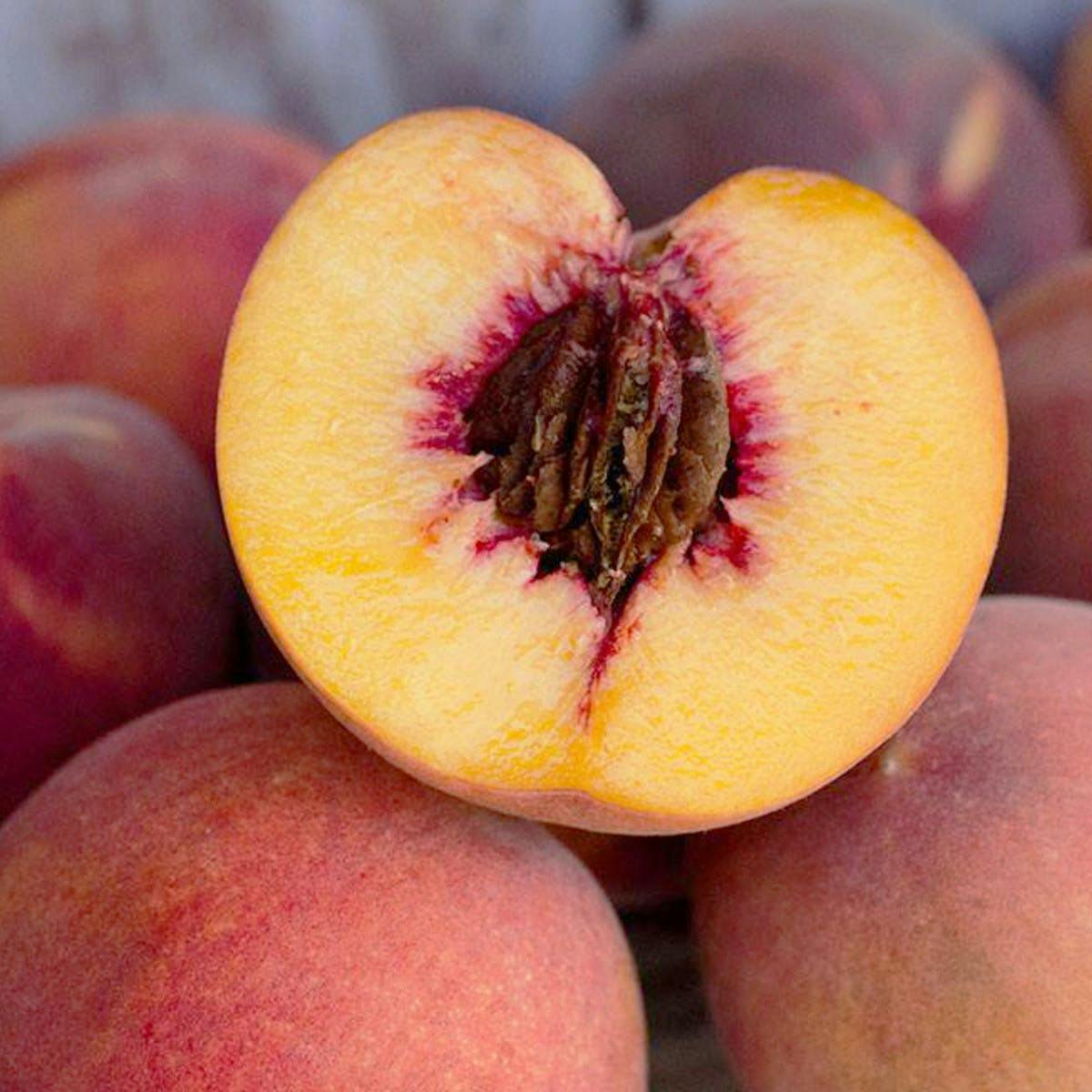 Organic Yellow Peach - Organic Peaches for Sale – Frog Hollow Farm