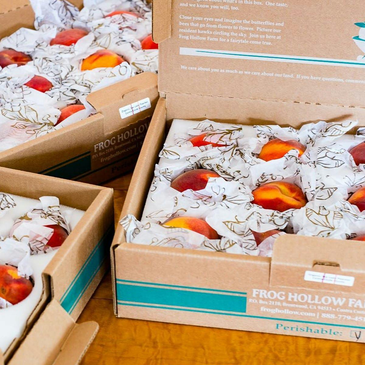 Organic Cal Red Peaches  Pre-Order – Frog Hollow Farm