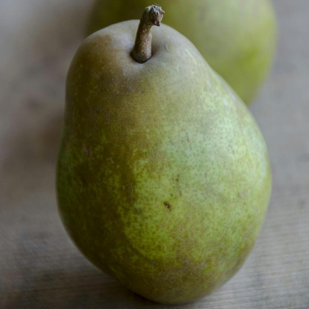 https://goldbelly.imgix.net/uploads/showcase_media_asset/image/80515/organic-warren-pears.d7547bdf48c53738bf1ae01a30362147.jpg?ixlib=rails-3.0.2