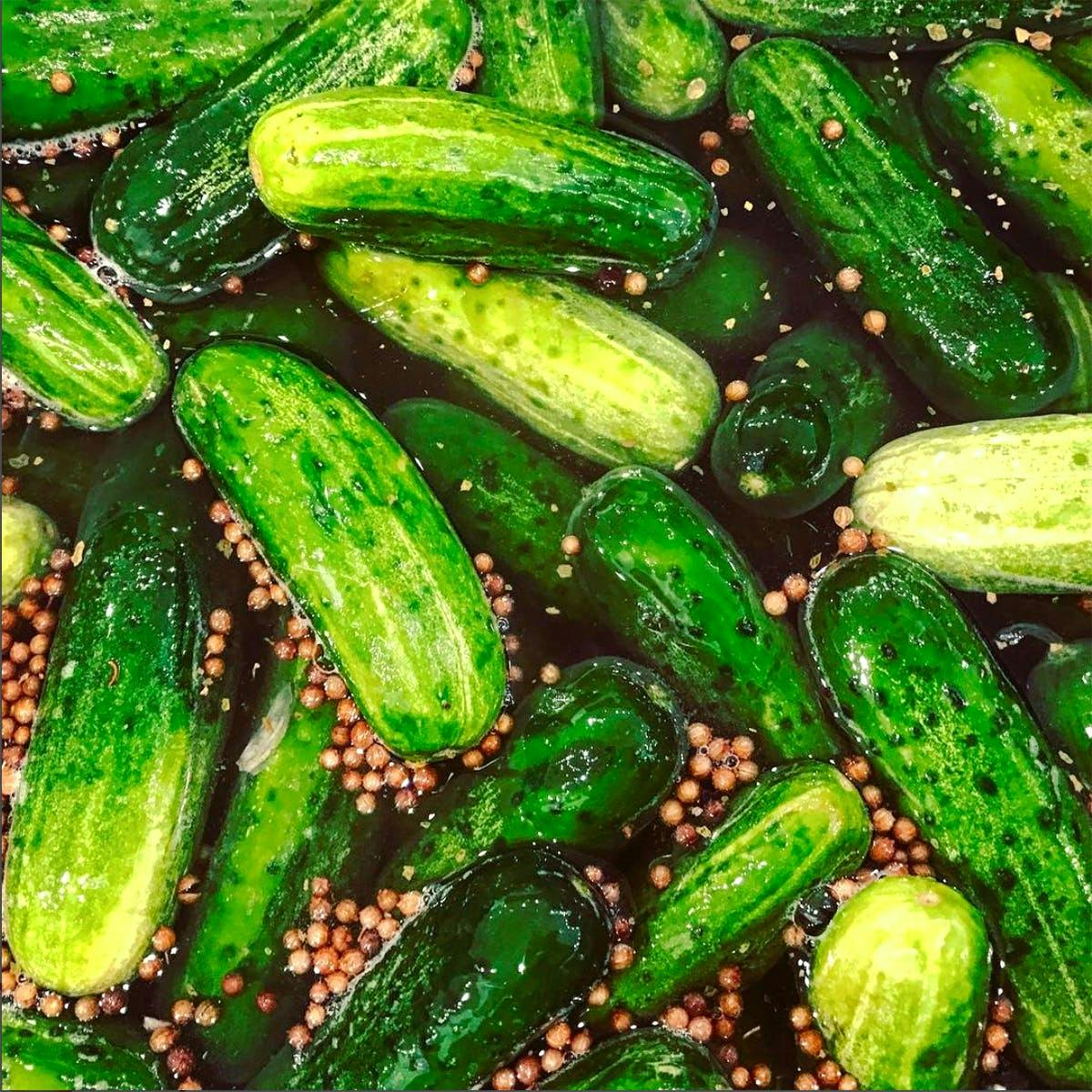 Classic Pickles – Twice as Tasty
