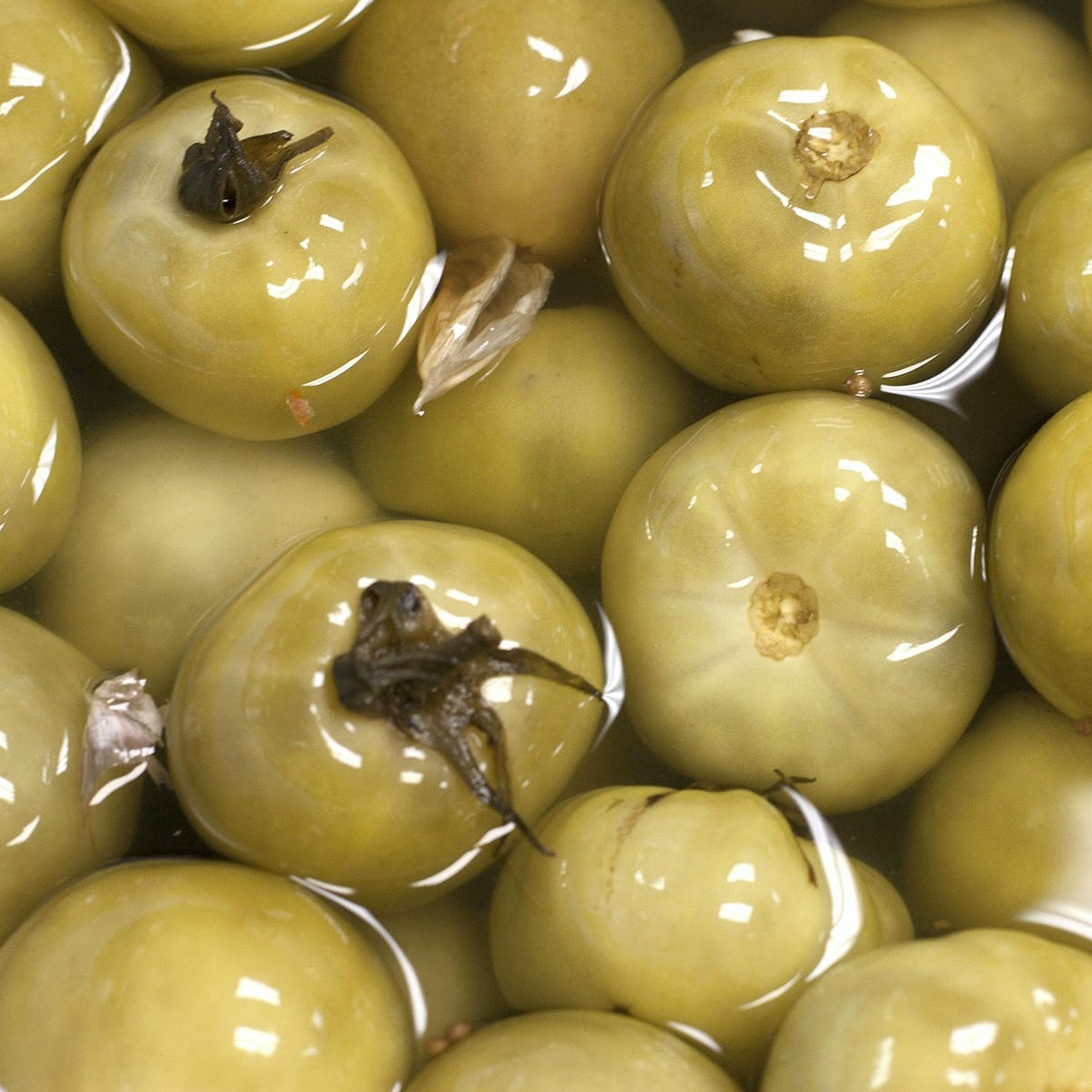 Pickled Tomatoes - 4 Quarts by The Pickle Guys - Alternate image 4