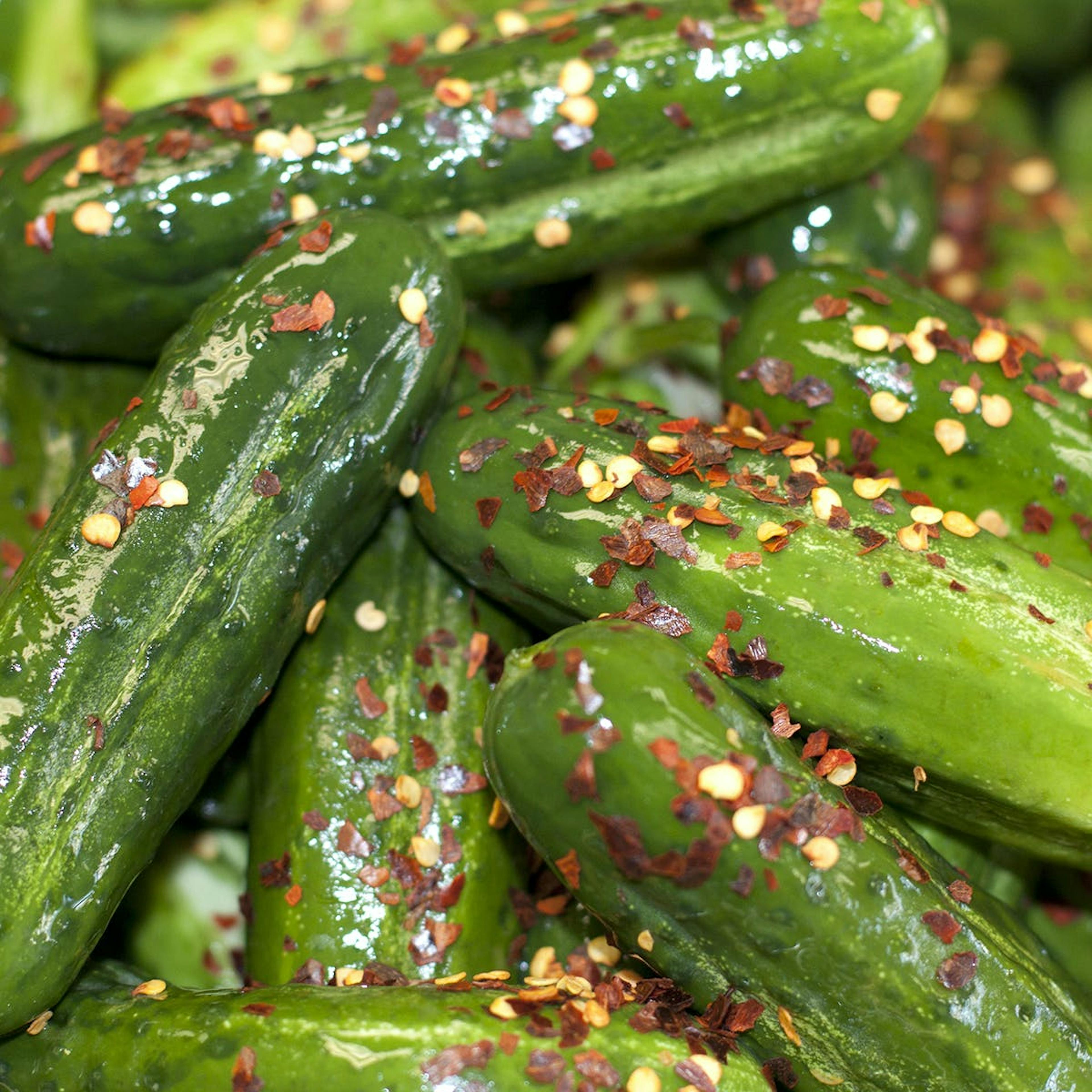 Sour Pickles - 4 Quarts by The Pickle Guys - Alternate image 1