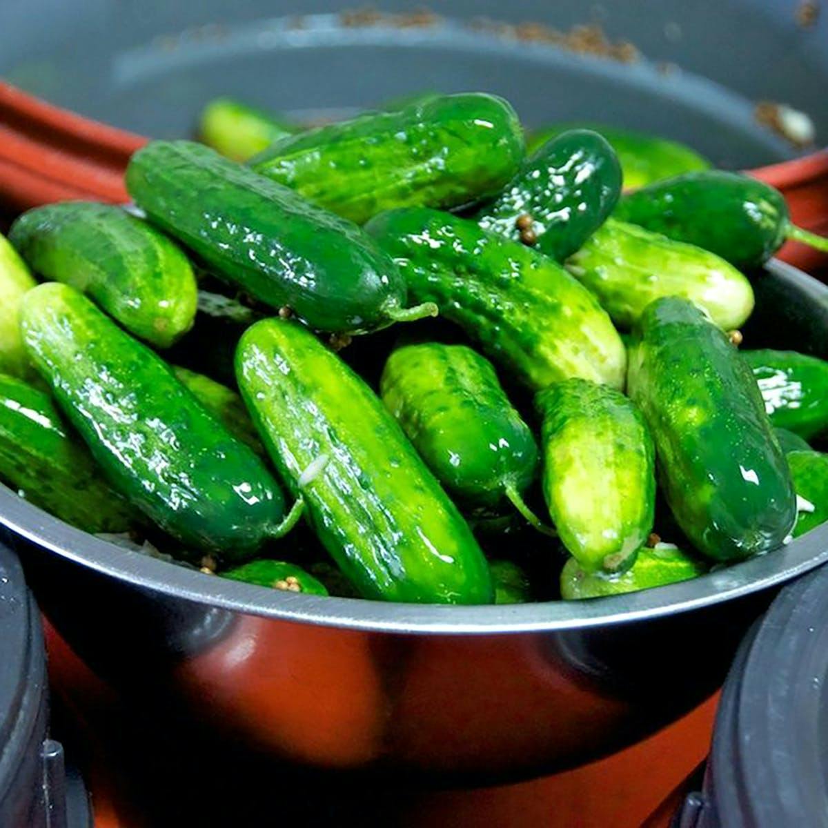 The Pickle Guys Spicy Sour Pickles. Find them at @The Big Dill™ this, Sour Pickle