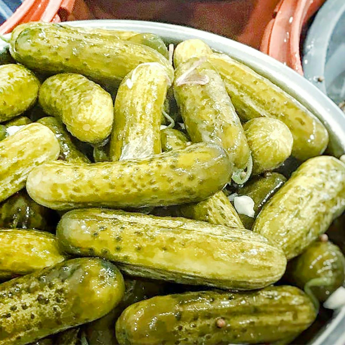 Signature Classic Pickles - 4 Quarts by The Pickle Guys - Alternate image 5