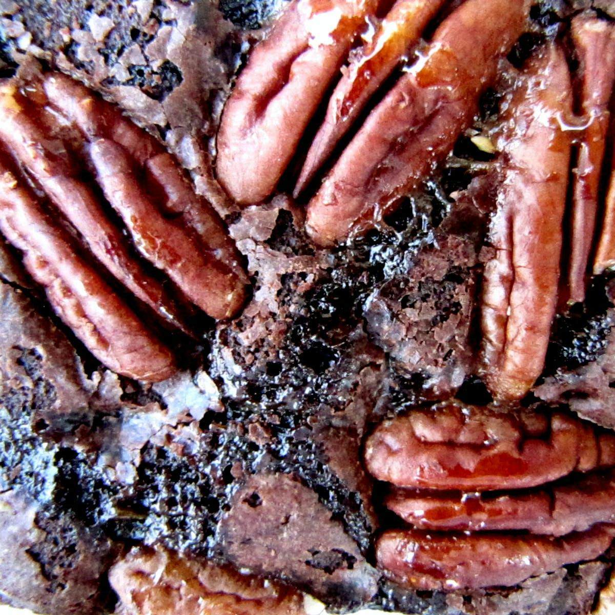 Pecan & Caramel Brownies - 1 Dozen by Fat Molly's Brownies - Alternate image 2