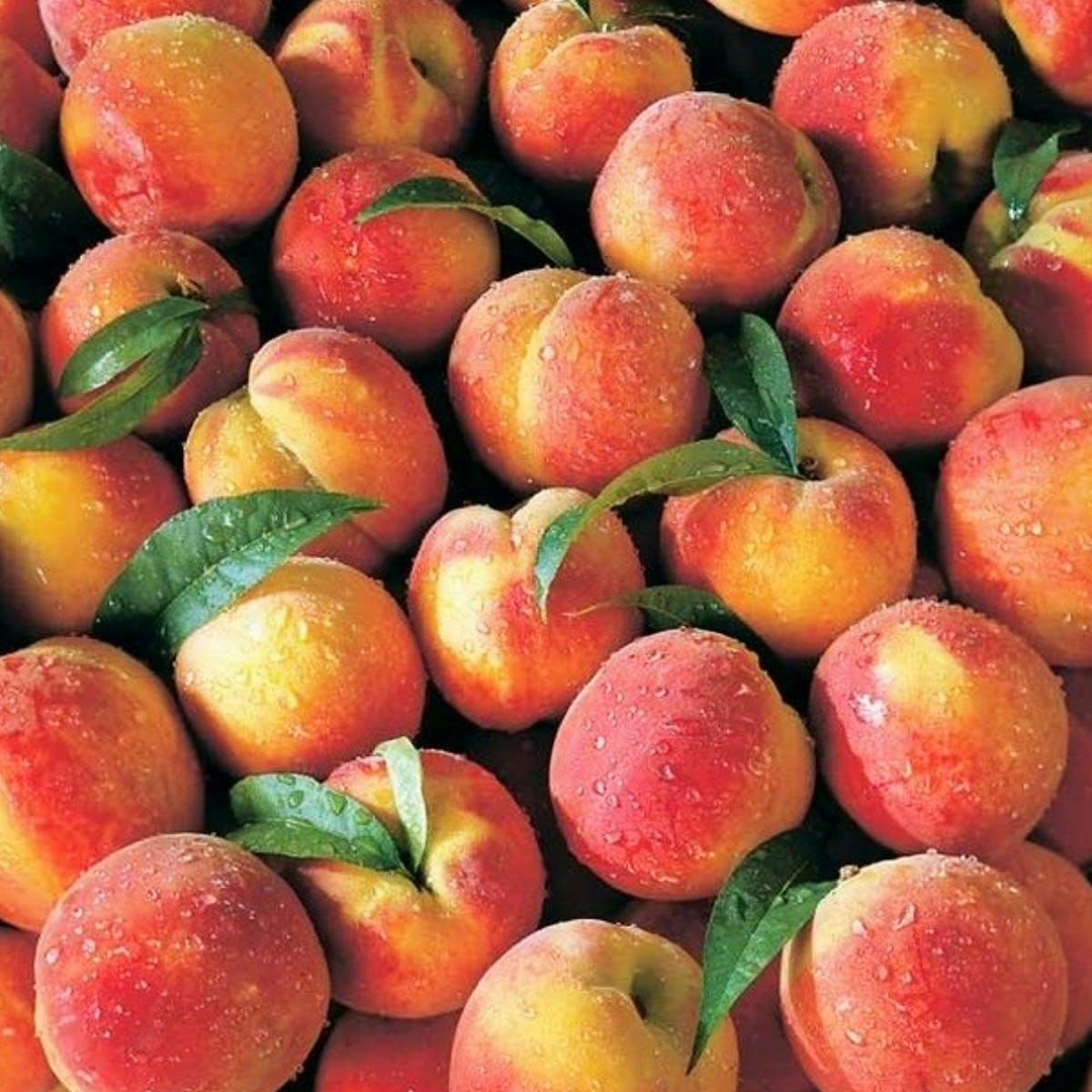 Georgia Peaches Gift Box - 26 Pack by Pearson Farm - Alternate image 1