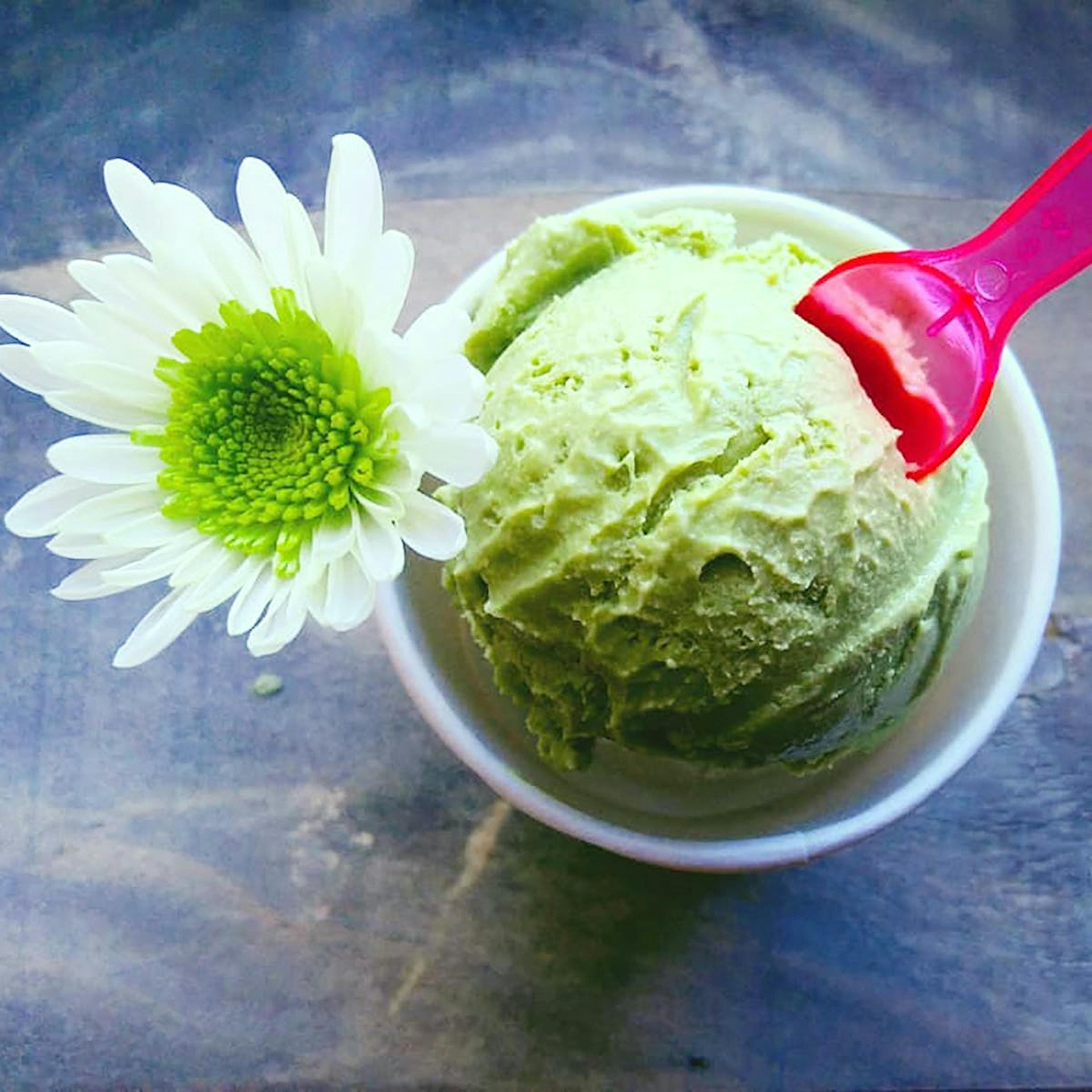 Matcha Green Tea Ice Cream - 6 Pints by Noona's Ice Cream - Alternate image 2