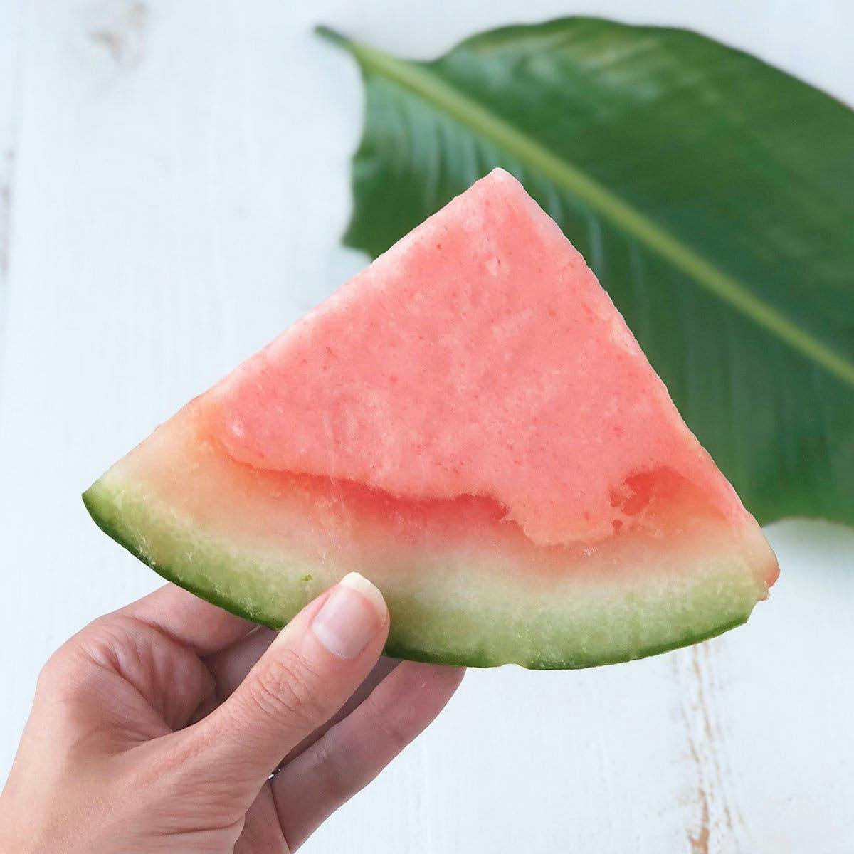 Watermelon Sorbet Wedges - 10 Pack by Elegant Desserts