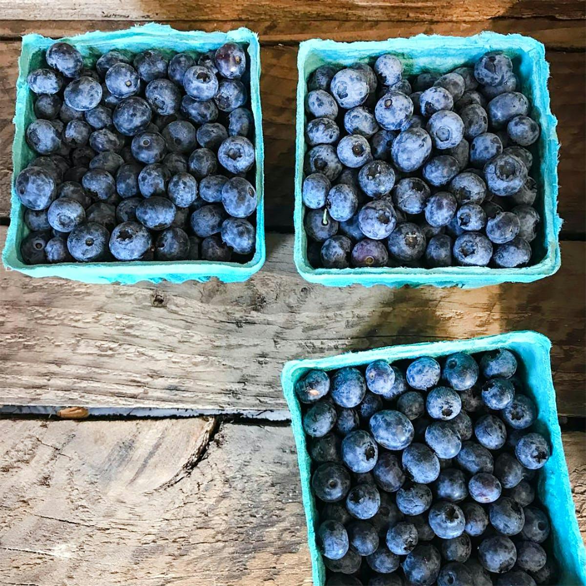 Giant Butterhole Biscuits + Local Jam by Honest Biscuits - Alternate image 4