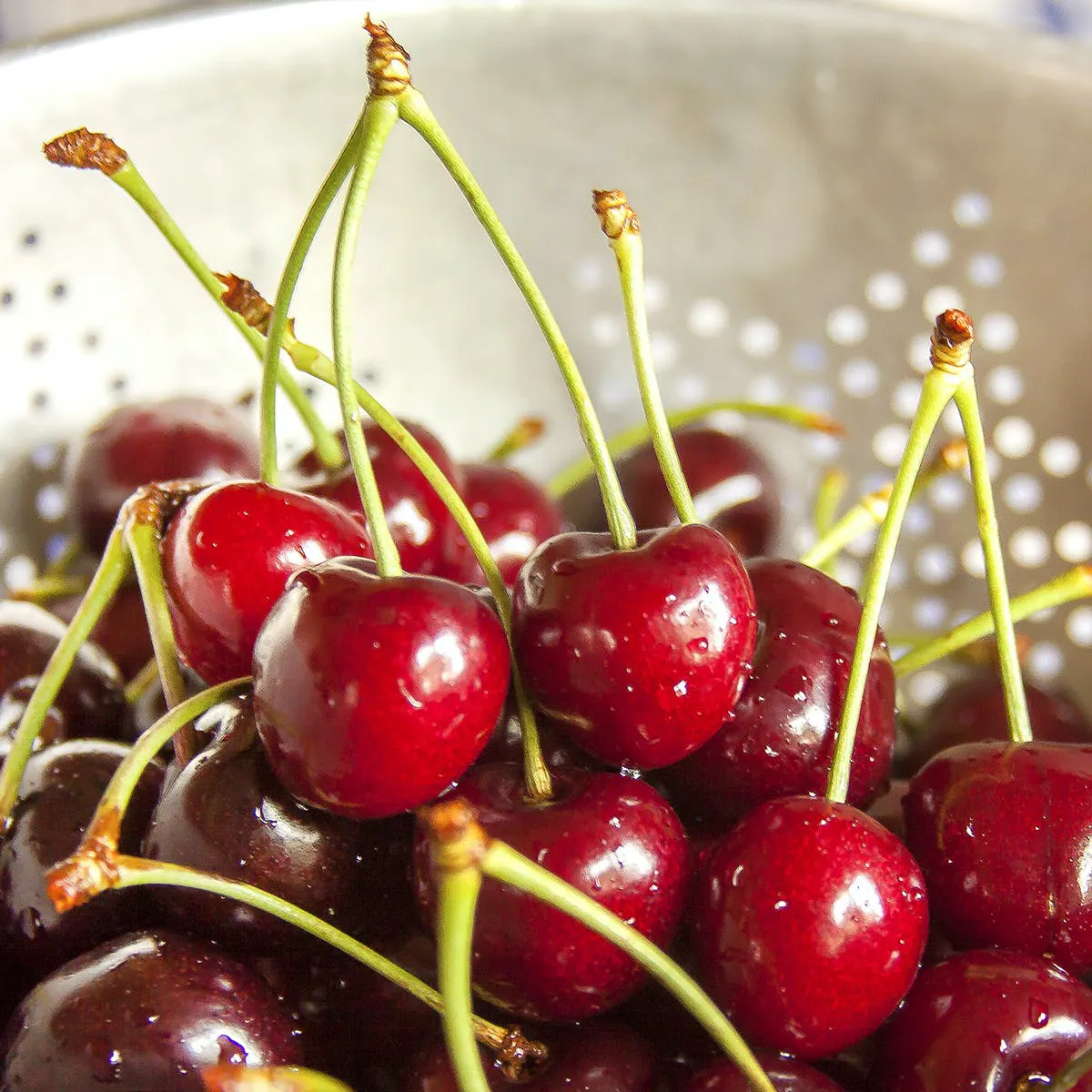Sweet & Sour Michigan Cherries Combo - 6 lbs by Wunsch Family Farm - Alternate image 1