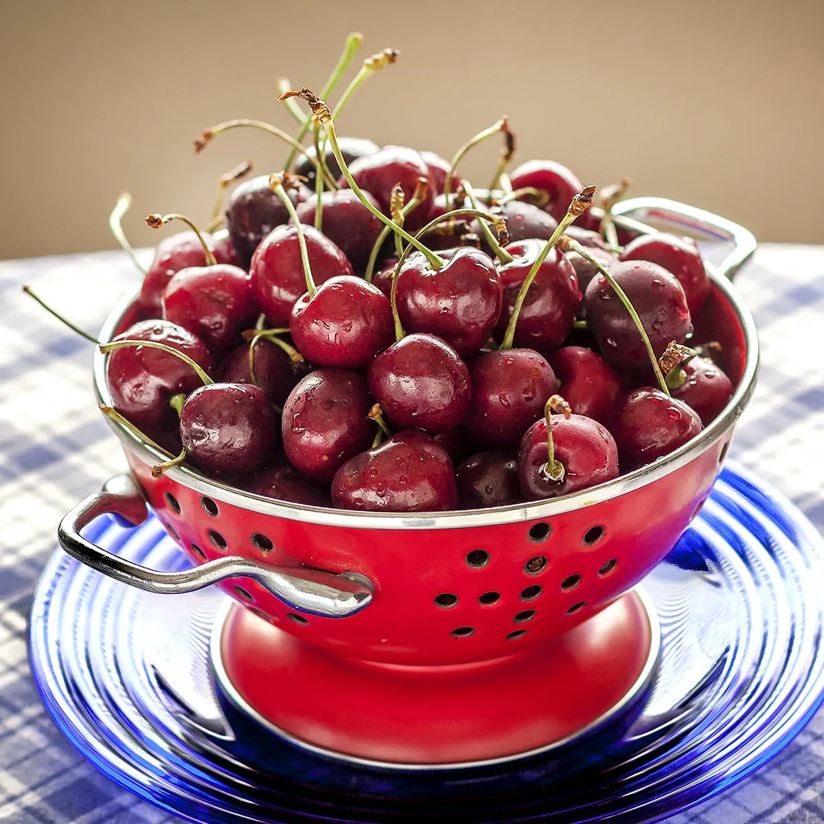 Sour Michigan "Balaton" Cherries by Wunsch Family Farm
