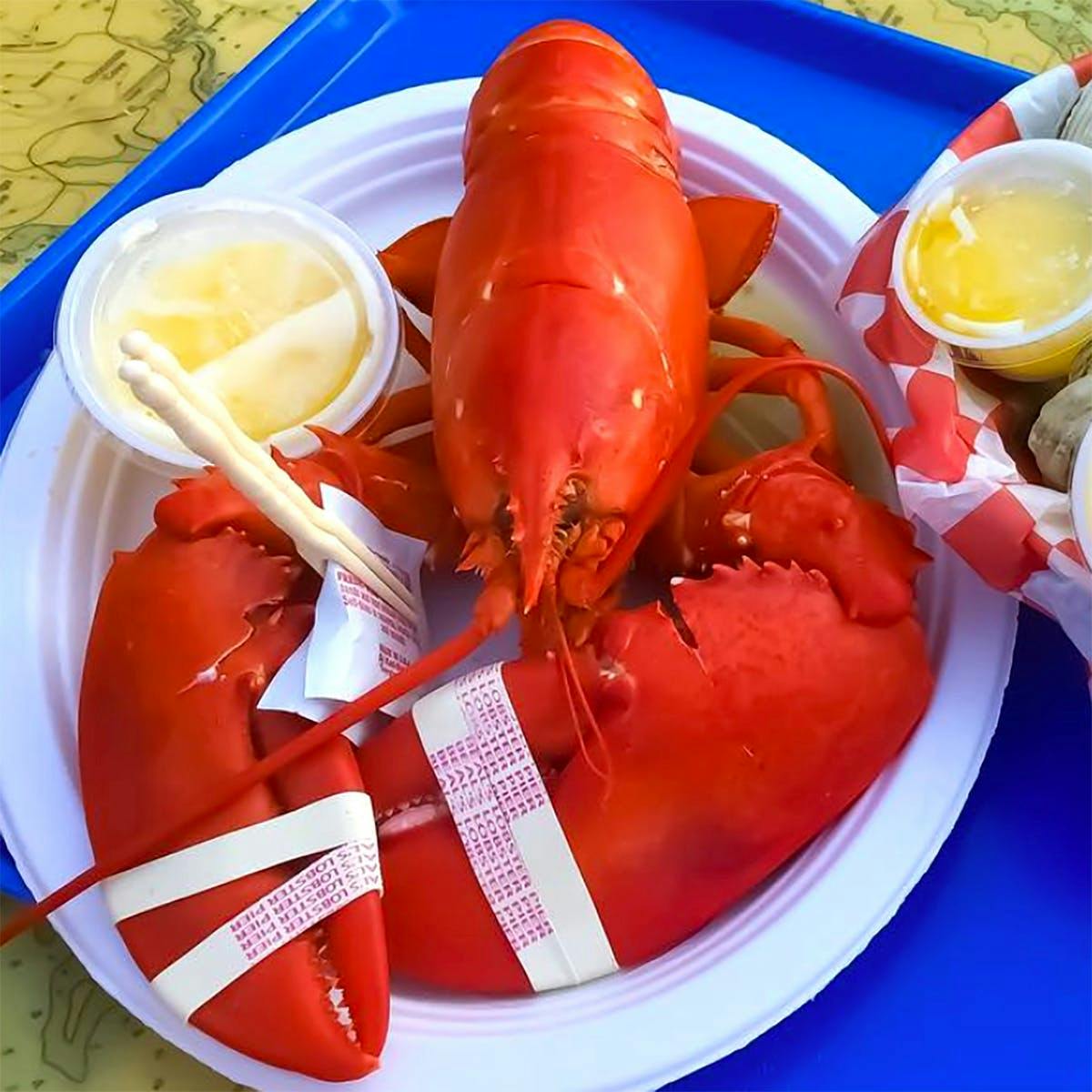 Cooked 2 lb Lobster 2 Pack by Beal's Lobster Pier Goldbelly