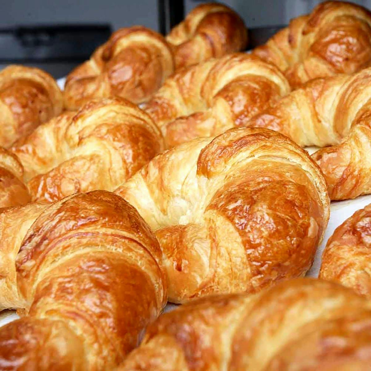 Fresh Butter Croissants - 8 Pack by Ceci-Cela Patisserie - Alternate image 1
