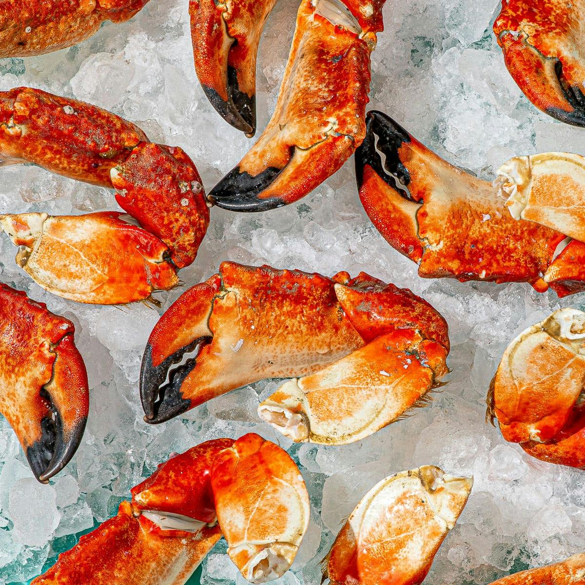 Pacific Red Stone Crab Party Pack - 15 lbs by Santa Barbara Stone Crab Co. - Alternate image 2