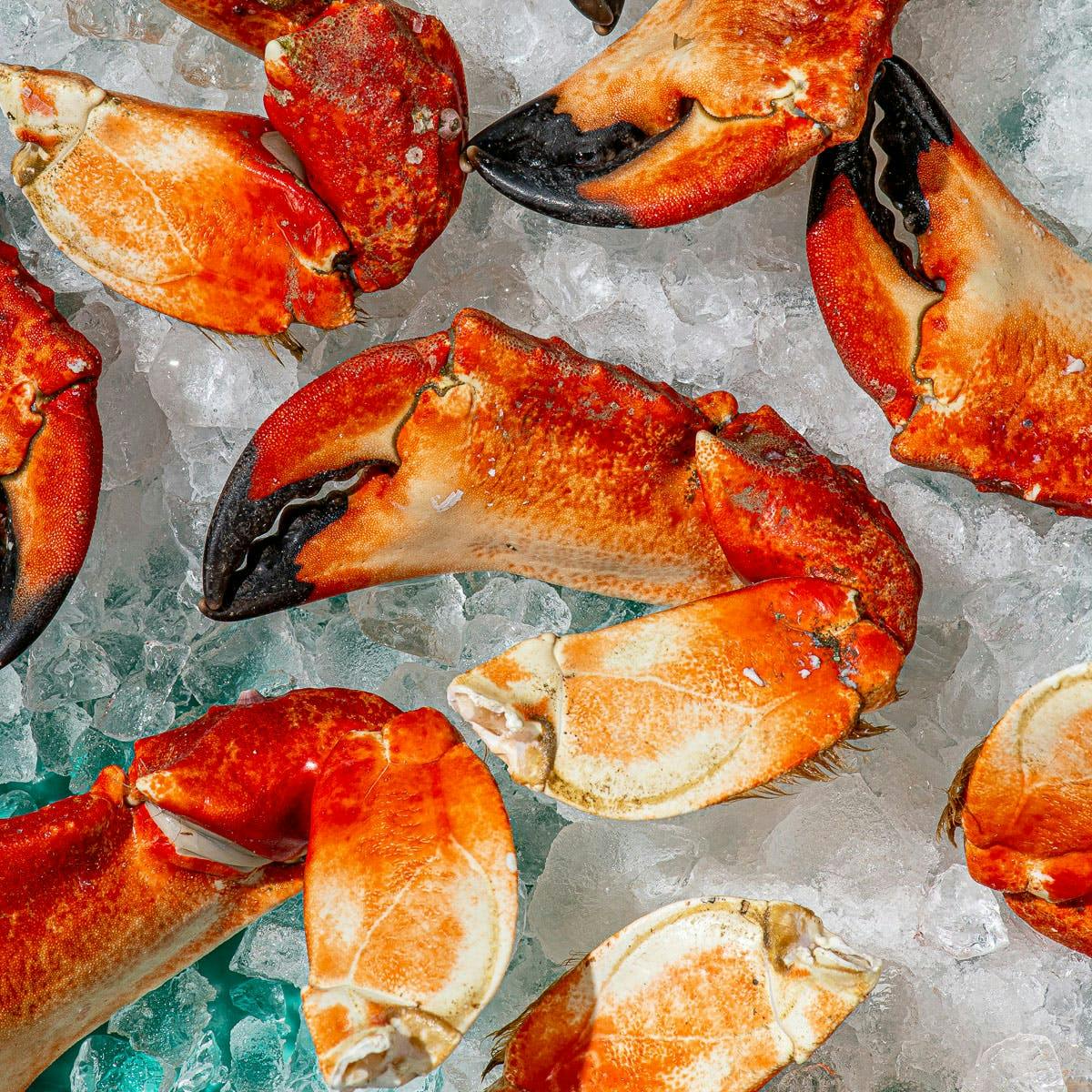 Medium Pacific Red Stone Crab Claws by Santa Barbara Stone Crab Co. - Alternate image 3