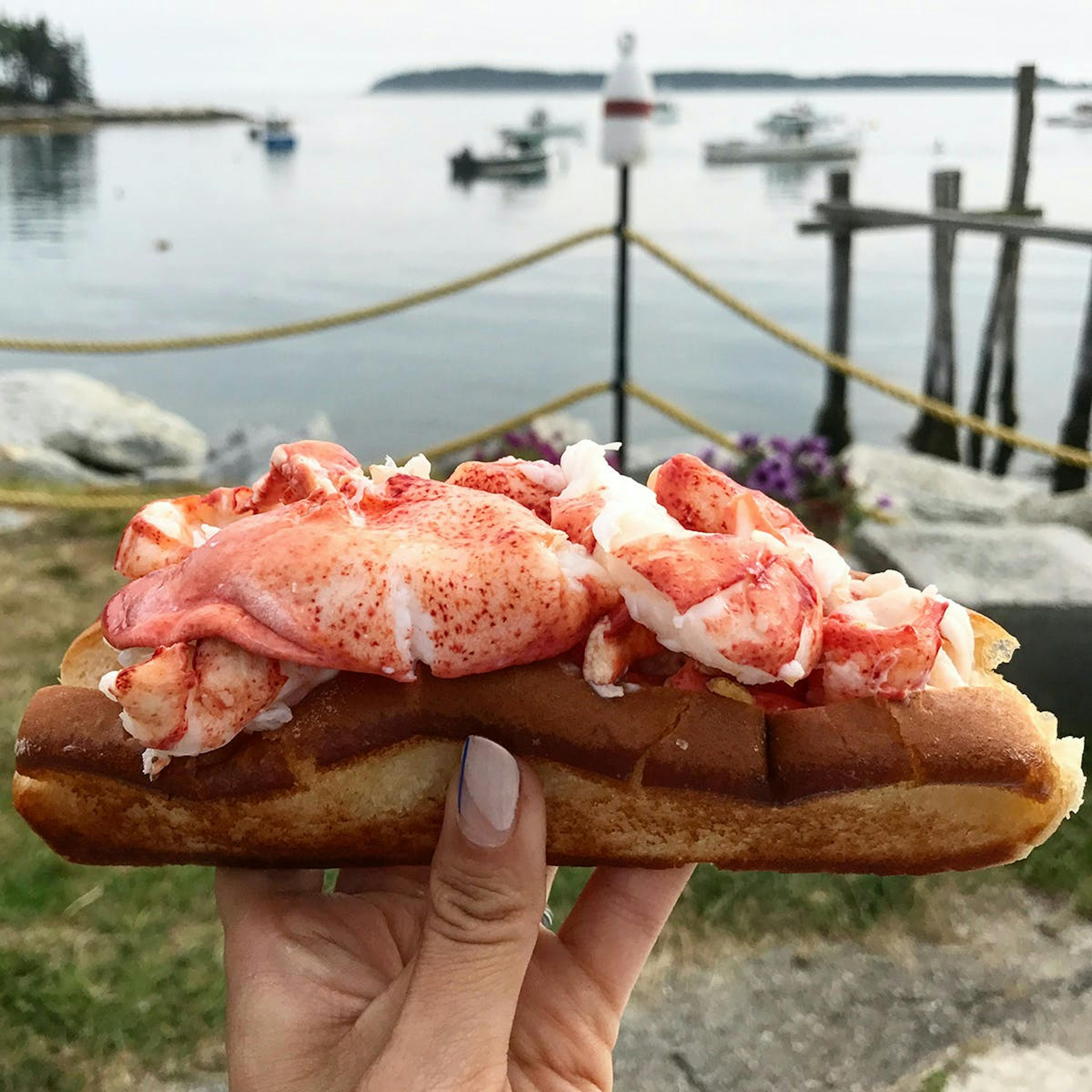 Maine Lobster Roll Kit - 6 Pack by McLoons Lobster Shack - Alternate image 1