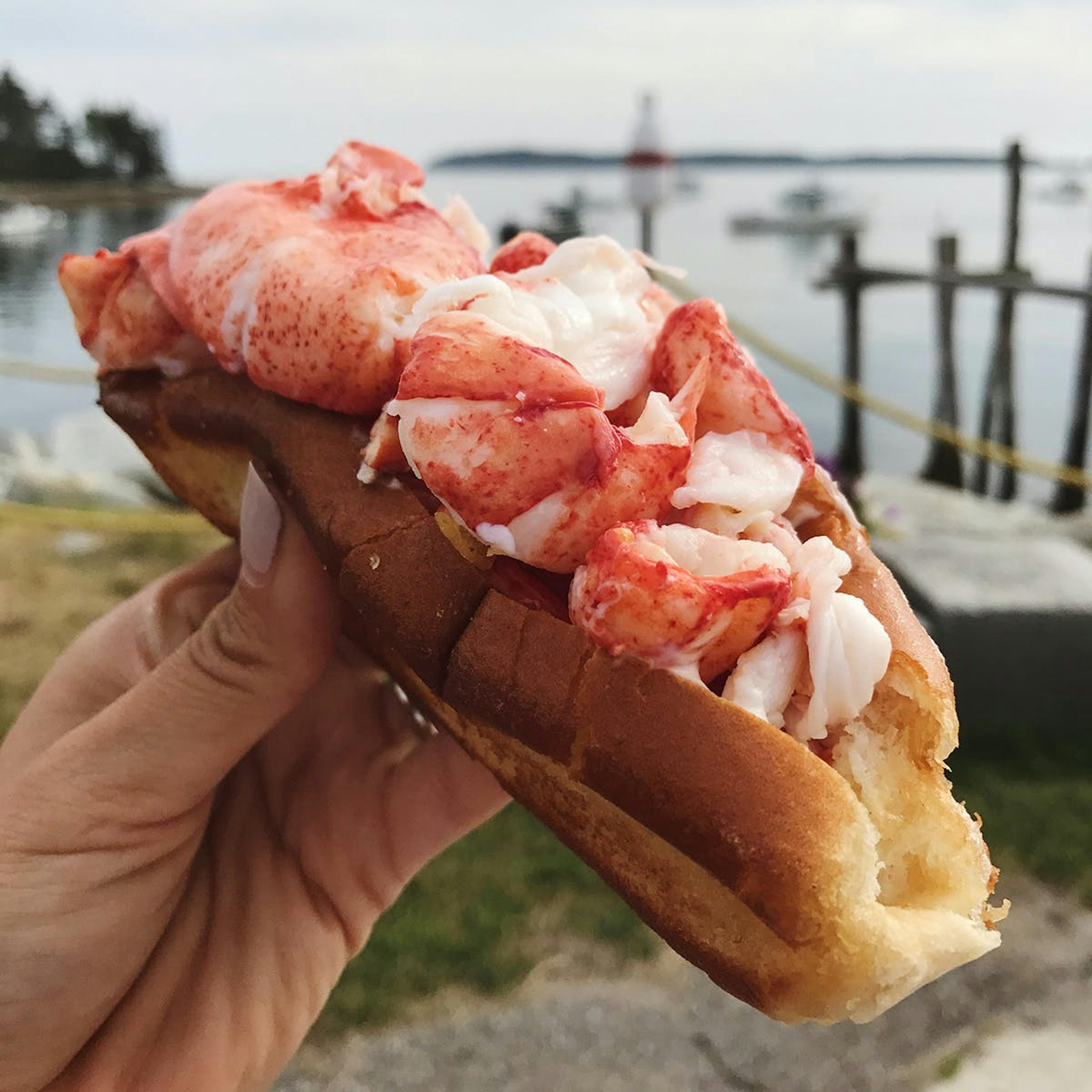 Maine Lobster Roll Kit - 10 Pack by McLoons Lobster Shack - Alternate image 6