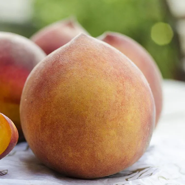 Organic O'Henry Peaches by Frog Hollow Farm - Alternate image 1