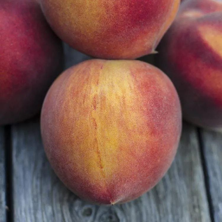Organic O'Henry Peaches by Frog Hollow Farm - Alternate image 3