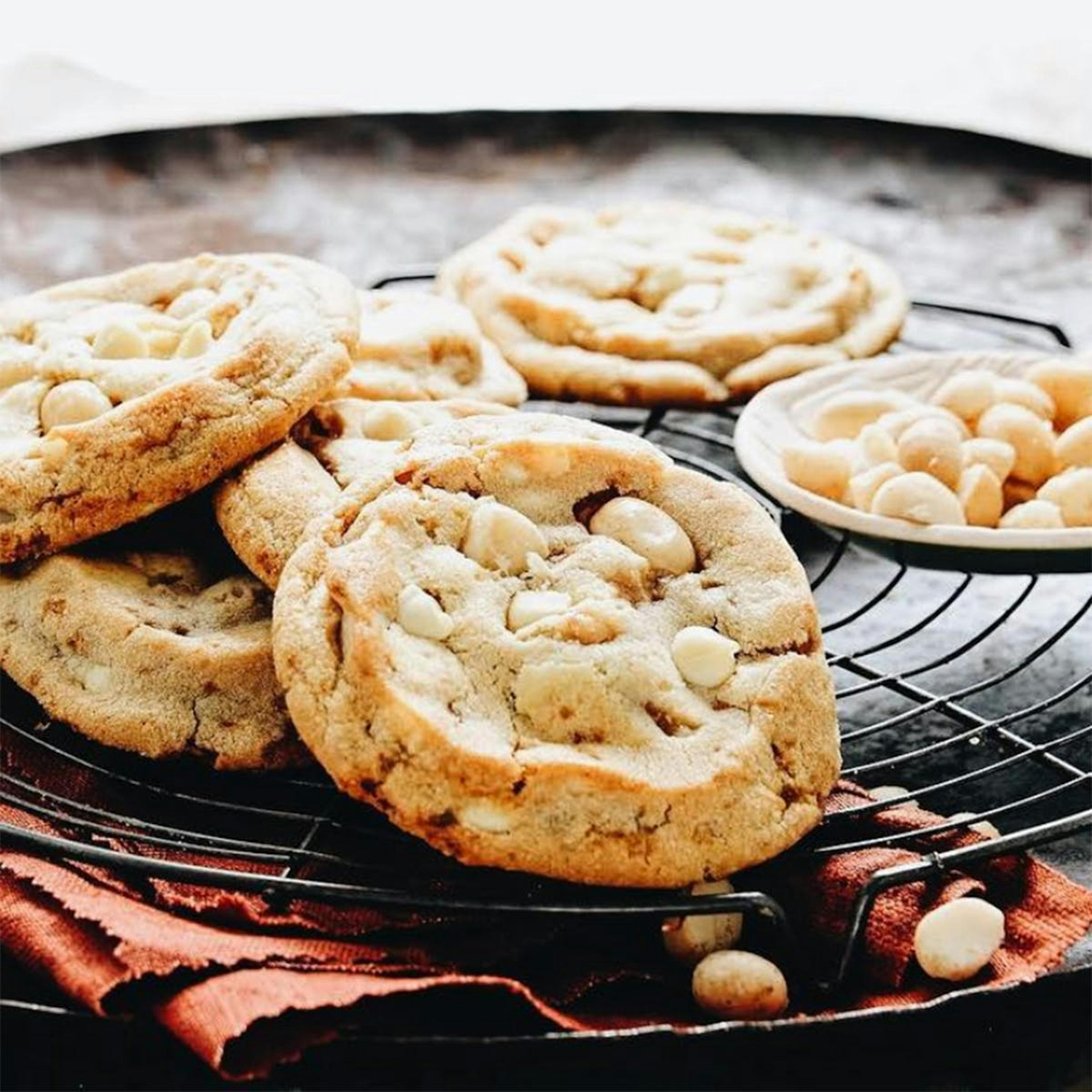 White Chocolate Macadamia Nut Cookie Gift Tin - 10 Pack by Christie Cookie Company