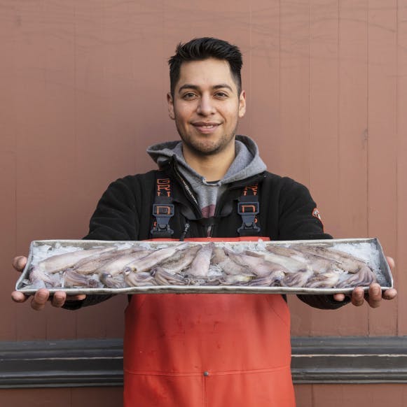 Squid - Whole, USA, 5 lbs by Pike Place Fish Market - Alternate image 1