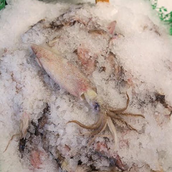 Squid - Whole, USA, 5 lbs by Pike Place Fish Market