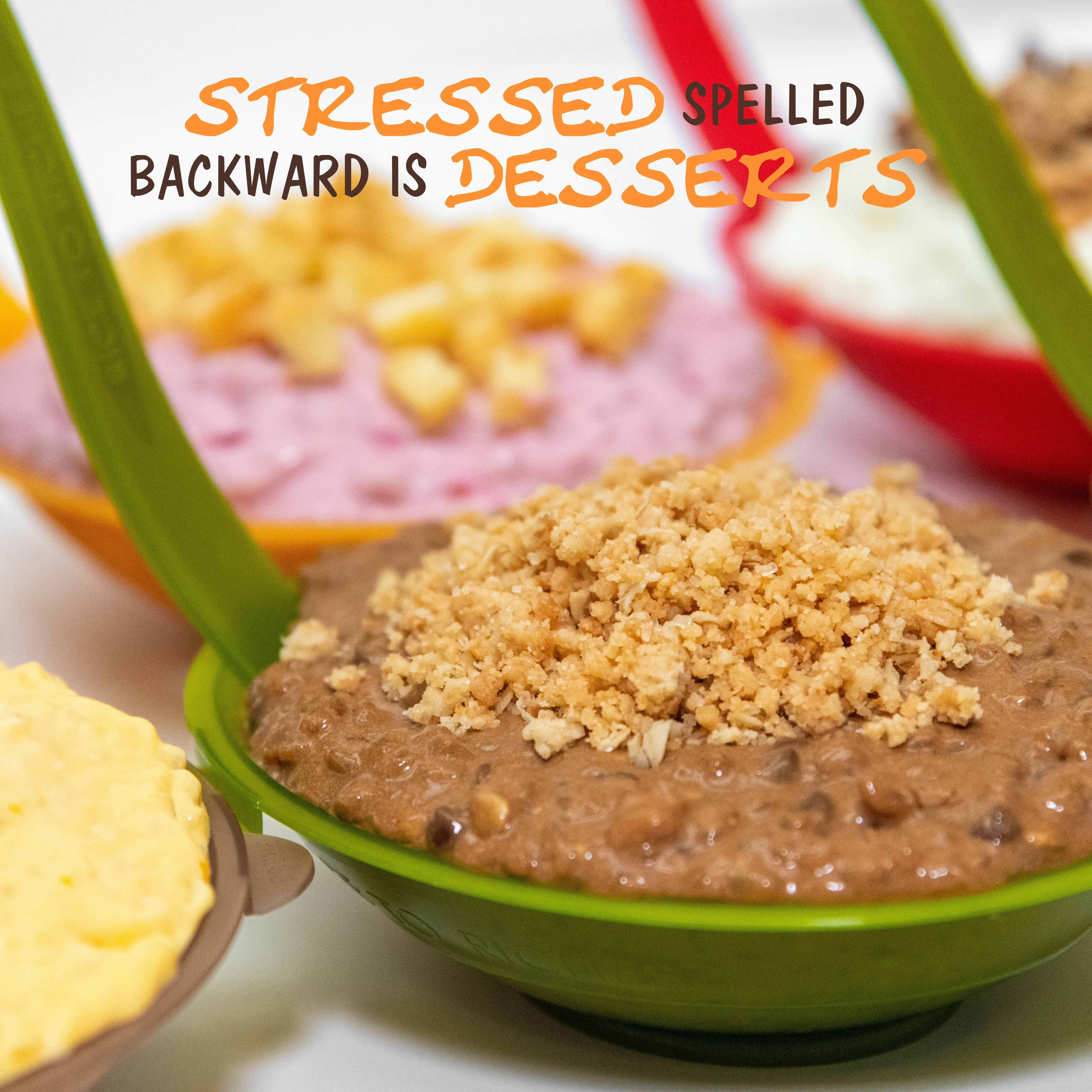 Rice Pudding "Epic" Size - Choose Your Own by Rice to Riches - Alternate image 3