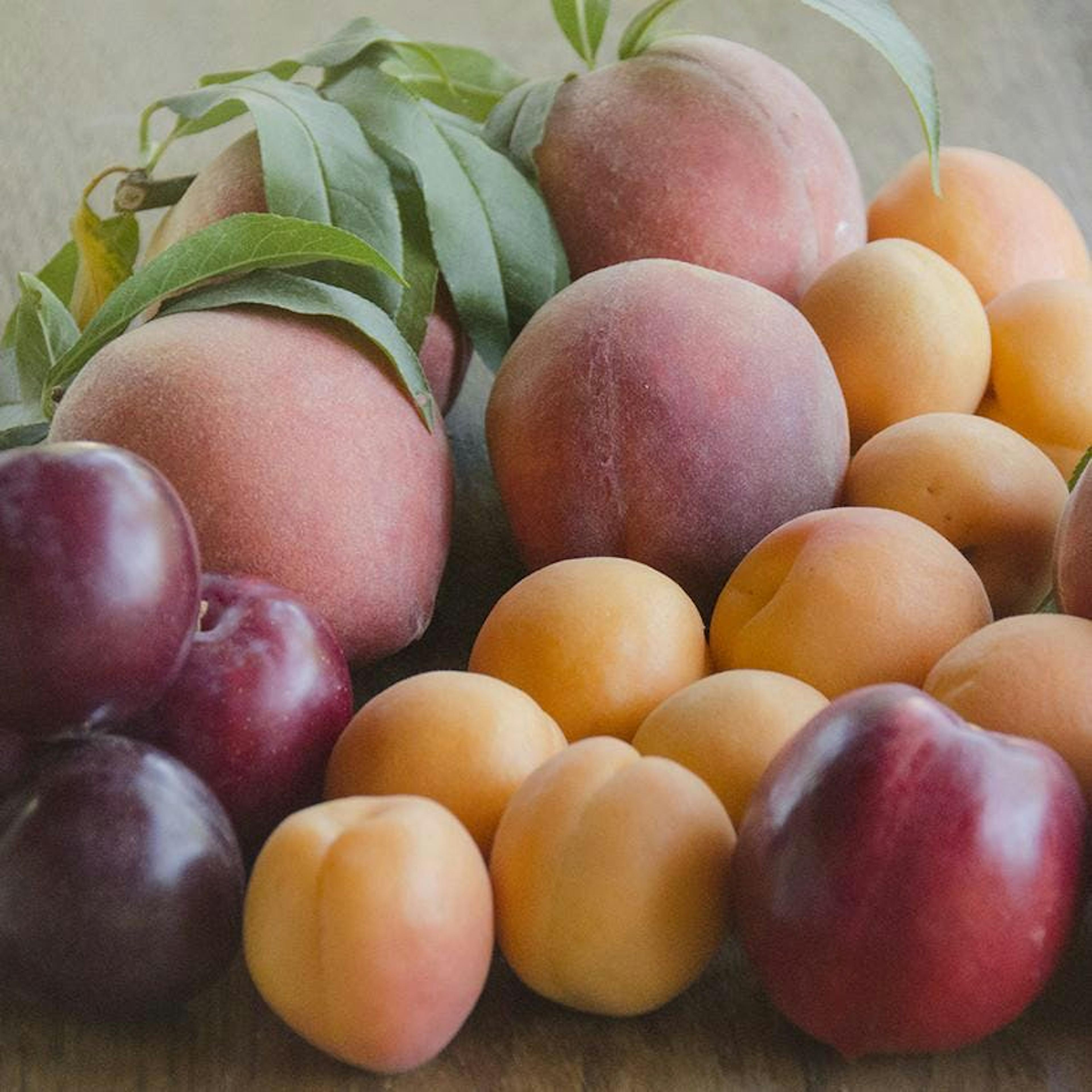 Organic Mixed Fruit Box - 4lbs by Frog Hollow Farm - Alternate image 3