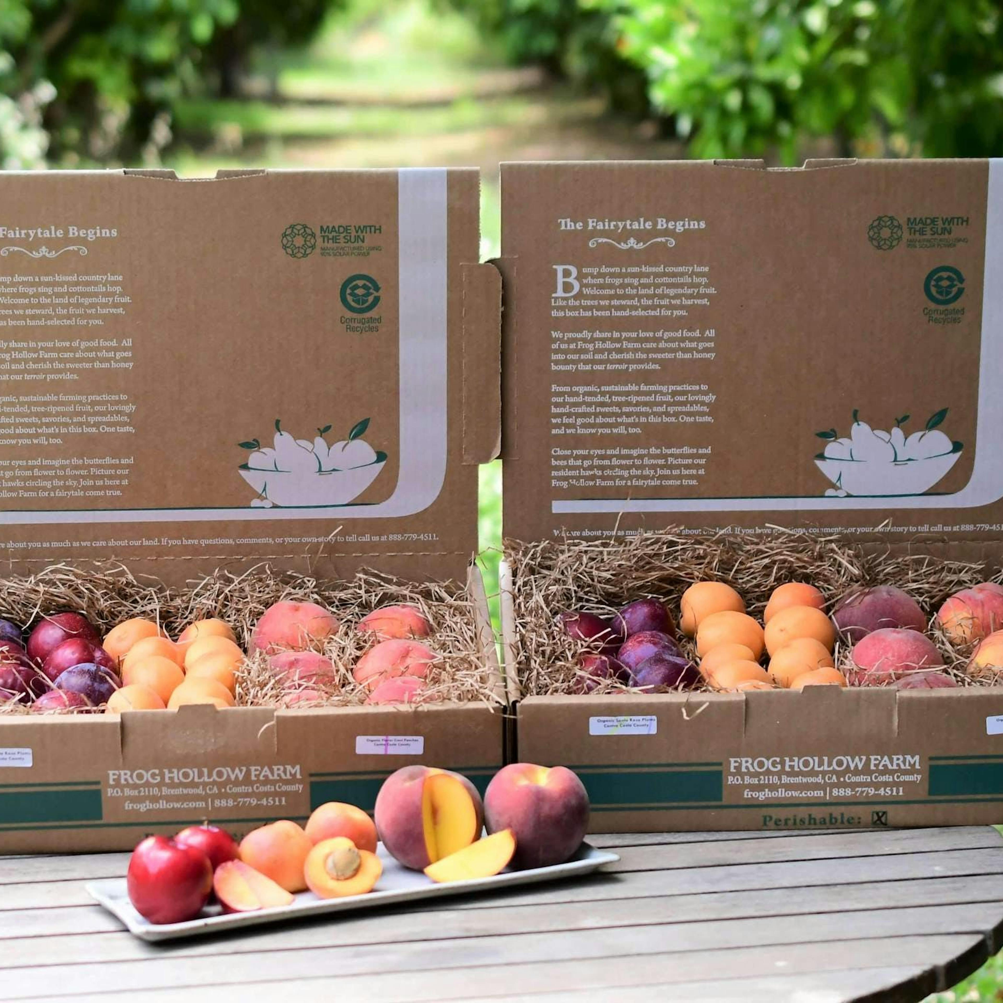 Organic Mixed Fruit Box - 4lbs by Frog Hollow Farm