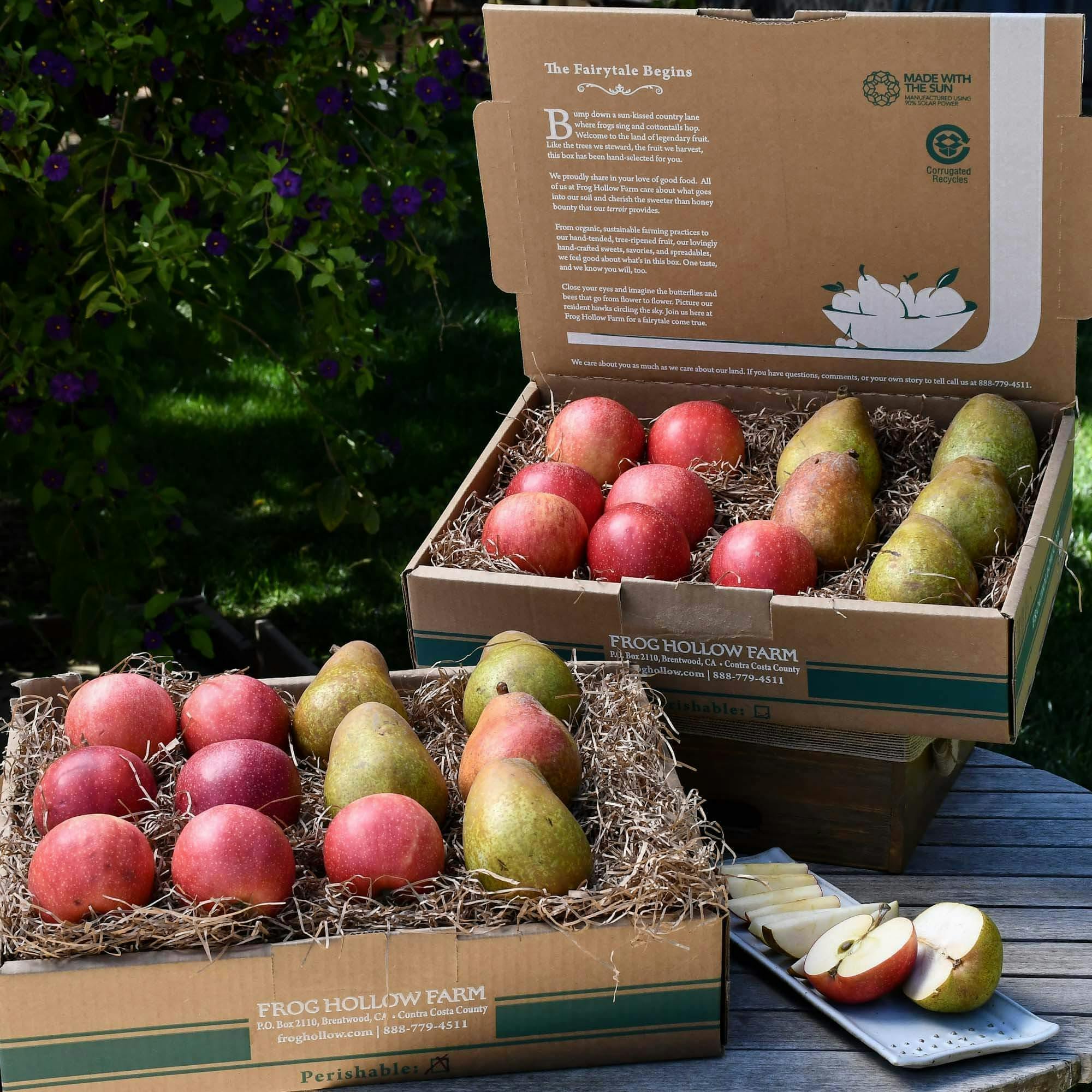 Organic Honeycrisp Apples – Frog Hollow Farm