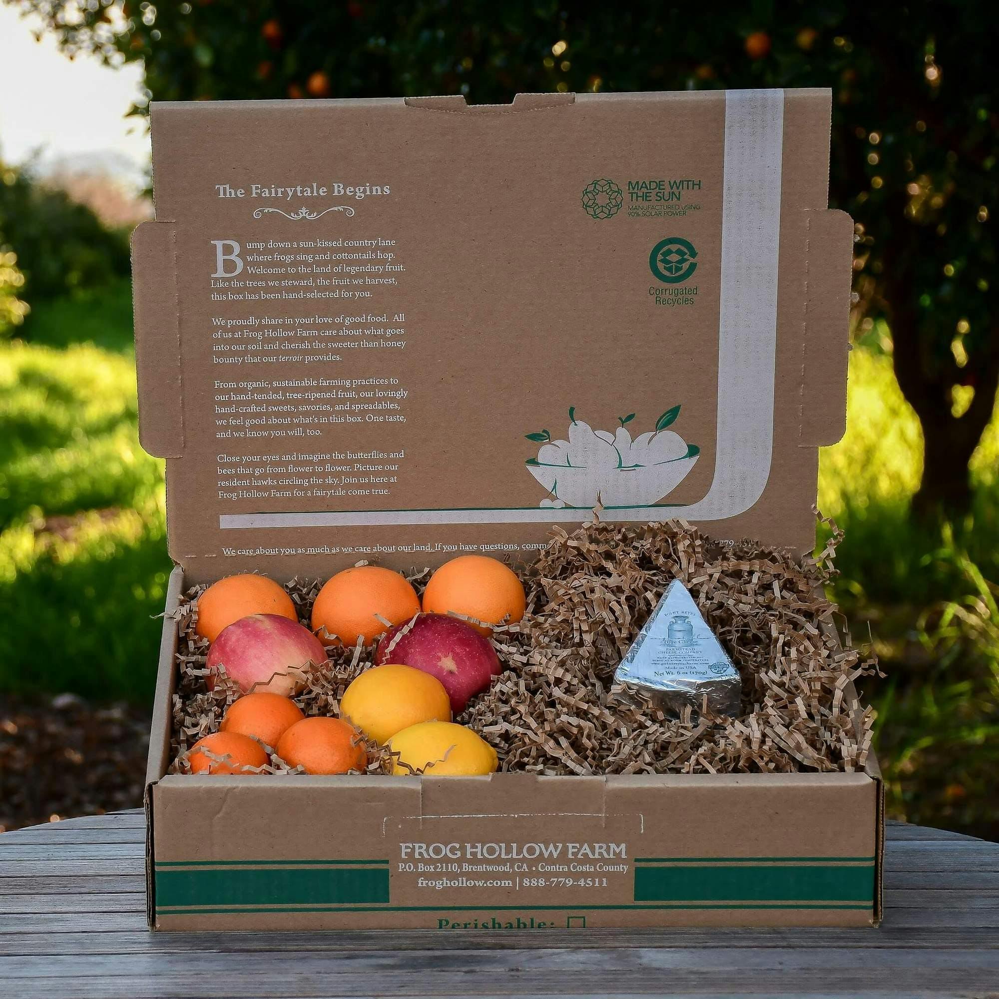 Pure & Fresh, Brand Identity, Organic Fruit Farm
