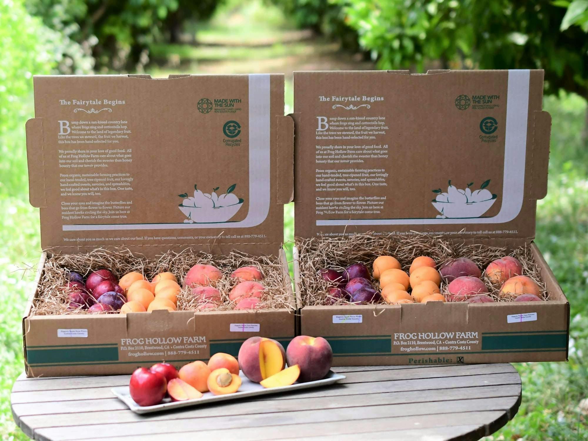 https://goldbelly.imgix.net/uploads/showcase_media_asset/image/97361/organic-mixed-fruit-box-10lbs.6cb530af2d6ece3ad9c21d8cddaf662b.jpg?ixlib=rails-3.0.2