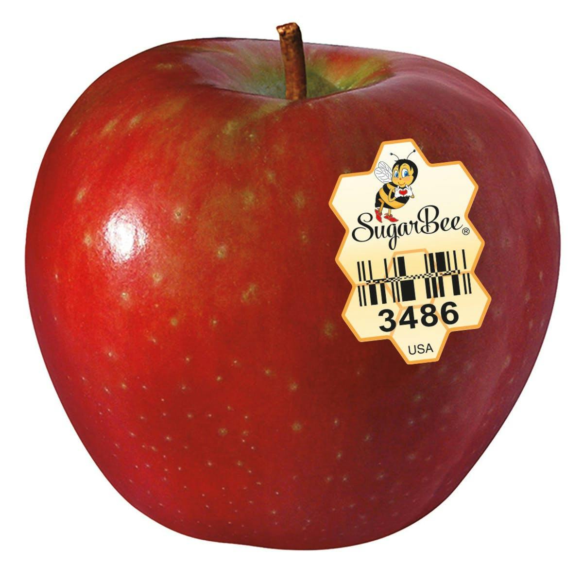 SugarBee * - Adam's Apples