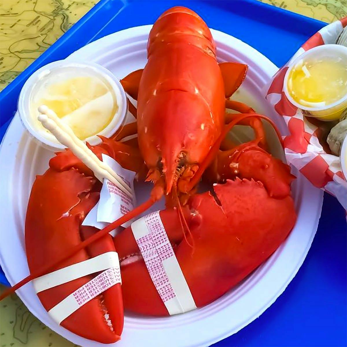 Live 2 lb Lobster - 2 Pack