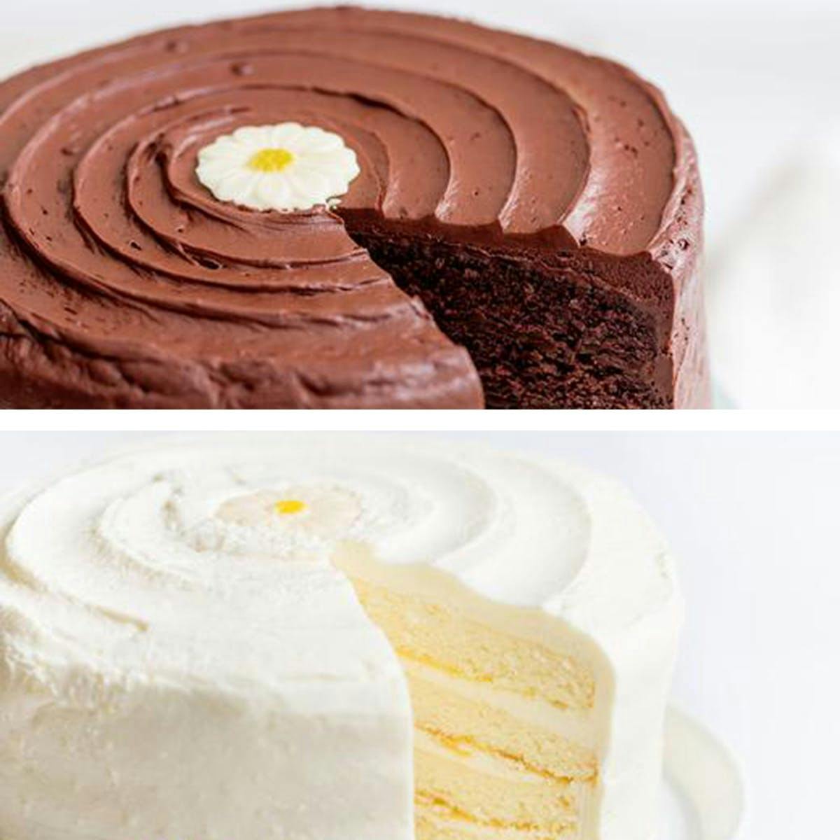 Daisy's Cakes - Choose Your Own 2 Pack by Daisy Cakes - Alternate image 2